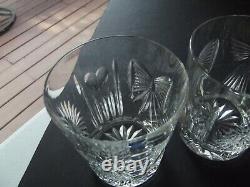 2 Double Old Fashioned Tumbler Glass 4-3/8 Waterford Crystal Millennium 5 Toast