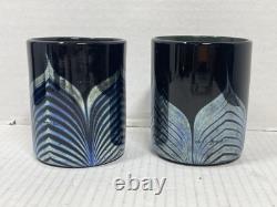 2 Steven Correia Black Iridescent Pulled Feather Double Old Fashioned Glasses