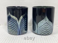 2 Steven Correia Black Iridescent Pulled Feather Double Old Fashioned Glasses