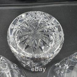 4 Hoya Cut Crystal Double Old Fashioned Glasses CYT713U