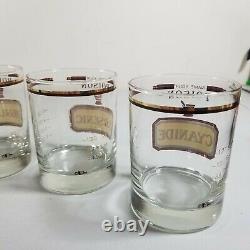 6 VTG Name Your Poison Glass Double Old Fashioned Whiskey Cora Cera MCM Bar Set