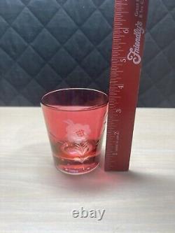 Bohemian Red Cut To Clear Double Old Fashioned Bar Glasses (6 +1)