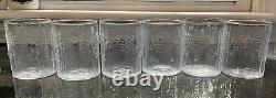 FLORA 6 Pcs. Clear Double Old Fashioned Glass Tumbler Oiva Toikka LITTALA Arabia