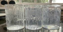 FLORA 6 Pcs. Clear Double Old Fashioned Glass Tumbler Oiva Toikka LITTALA Arabia