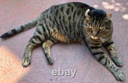 GEORGES BRIARD SET 8 X 3 3/8 TALL BLUE & GOLD DOUBLE OLD-FASHIONED GLASSES mcm