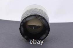 Moser Pebbles Double Old-fashioned Glass Color Smoke Mint