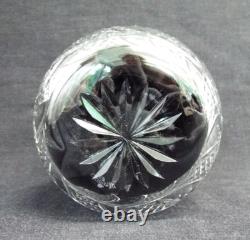 NEW Waterford SEAHORSE Cut Crystal Double Old Fashioned Tumbler Glass Set Box