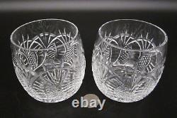 Pair WATERFORD CRYSTAL SEAHORSE Cut Glass Double Old Fashioned Whiskey Tumbler