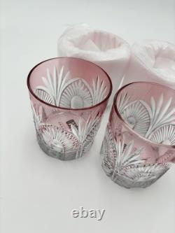 Pottery Barn Wicked Old Fashioned Glasses Pink Set of 4
