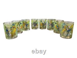 Rare Set of 8 Vintage Neiman Marcus Tropical Parrot Glasses Double Old Fashioned