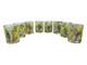 Rare Set of 8 Vintage Neiman Marcus Tropical Parrot Glasses Double Old Fashioned