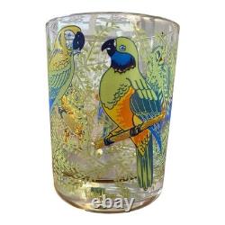 Rare Set of 8 Vintage Neiman Marcus Tropical Parrot Glasses Double Old Fashioned