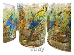 Rare Set of 8 Vintage Neiman Marcus Tropical Parrot Glasses Double Old Fashioned