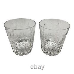 Rogaska Double Old Fashioned Whiskey Glass Country Garden Panels Floral Cuts 2Pc