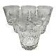 Rogaska Double Old Fashioned Whiskey Glass Country Garden Panels Floral Cuts 6Pc