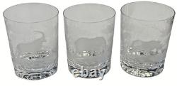 Rowland Ward Queens Lace African Safari Etched Double Old Fashioned Set Of 6