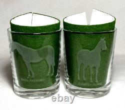Set (8) Different Etched HORSE BREEDS 12 Oz. DOUBLE OLD FASHIONED GLASSESFrance