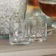 Set 8 Lion Head Drinking Glasses Double Old Fashioned Bar Tabletop