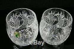 Set of 2 Waterford Seahorse Pattern Double Old Fashioned Glasses