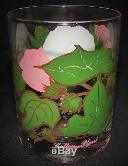Set of 6 Tumblers Double Old Fashioned Glasses Virginia Anderson Cotton Plant