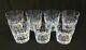Set of 7 Rogaska Crystal Country Garden Double Old Fashioned Glasses RGSCOG