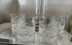 Shannon Tropica South Beach PalmTree Crystal Double Old Fashioned Glass SET 4