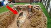 This Man Dug A Hole In His Backyard He Was Not Ready For What He Discovered There