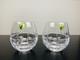 Waterford Crystal Double Old Fashioned Cluin Wine Brandy Glasses Set of 2