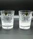 Waterford Crystal Millennium Double Old Fashioned Pair, 4.4 MIB