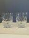 Waterford Crystal Millennium Peace Set of 2 Double Old Fashion Tumblers