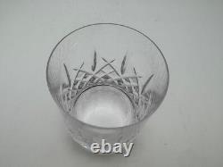 Waterford Crystal NEWGRANGE Double Old Fashioned Glass