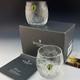 Waterford Crystal New SEAHORSE DOF Double Old Fashioned Pair Ireland Made NIB
