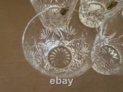 Waterford Crystal Pattern of the Sea Double Old Fashioned Glass Set of 6