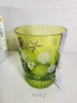 Waterford Snowflake Wishes Prosperity Lime Green DOF 2019 Double Old Fashioned
