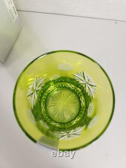Waterford Snowflake Wishes Prosperity Lime Green DOF 2019 Double Old Fashioned
