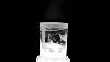 Wyland Reversed Frost Shark Double Old Fashioned Glass